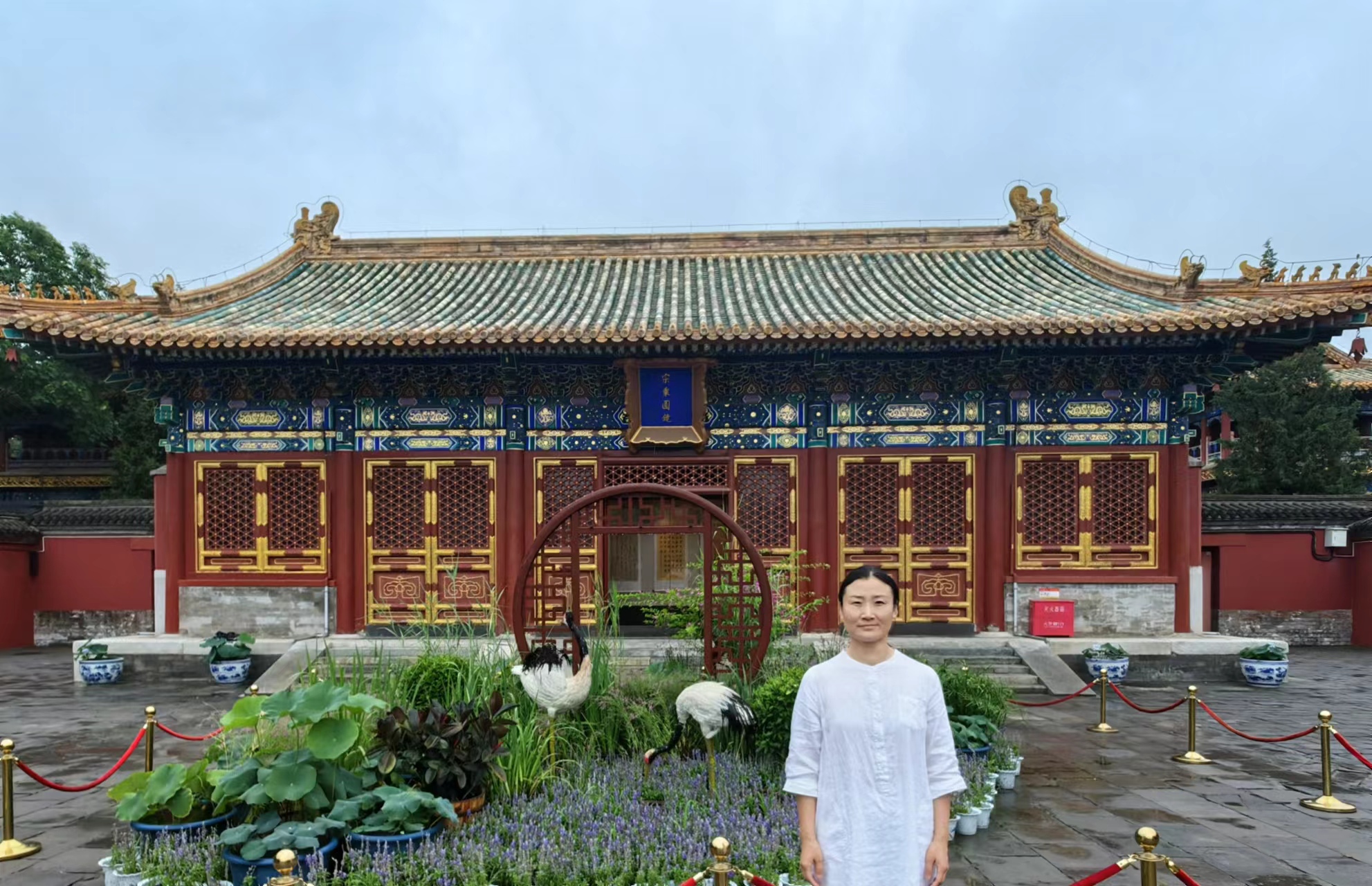 王萌.jpg 王萌.jpg